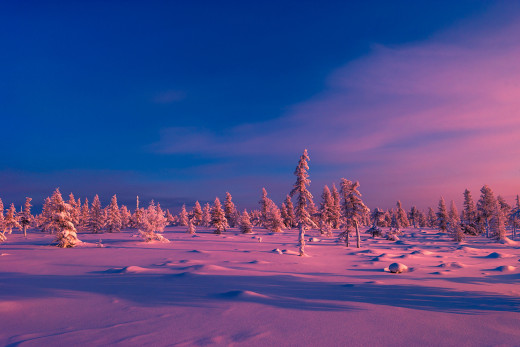 1112247 (a): :2475x1650